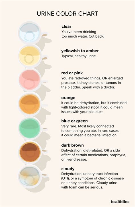 Urine Color Chart: What’s Normal and When to See a Doctor