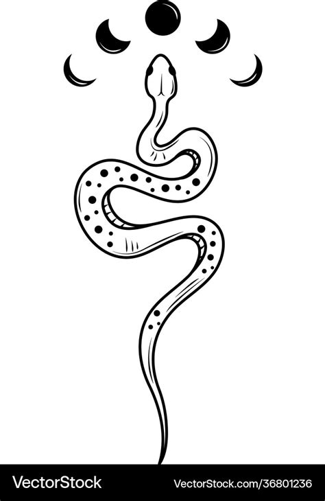 Tattoo snake moon Royalty Free Vector Image - VectorStock