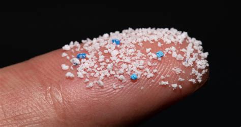 How Do Microplastics Affect Water? - Kinetico SWFL