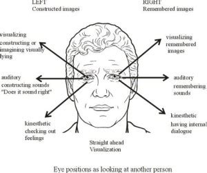 Eye Movement and Direction & How it Can Reveal Truth or Lies – The ...