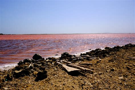 Pink Sea of Colombia - How to Visit the Pink Sea near Cartagena ...