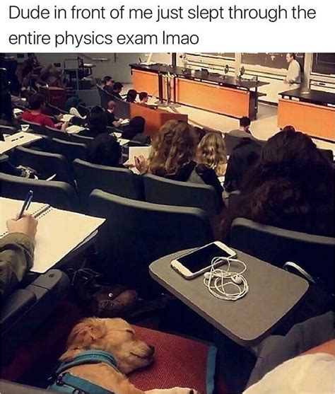 30 Funny Memes That Perfectly Capture Student Life | DeMilked