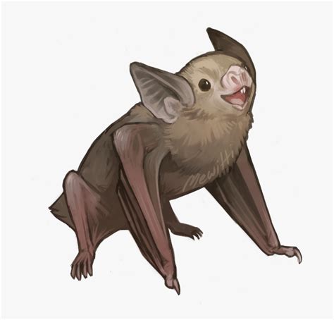 Bats Drawing Realistic - Vampire Bat Drawing, HD Png Download ...