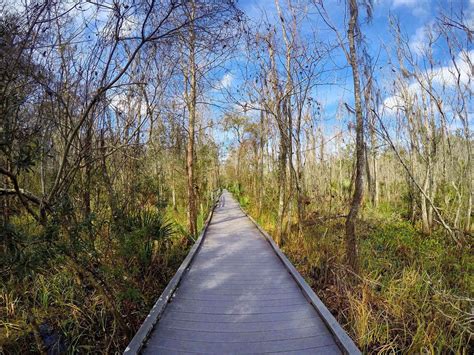 Jean Lafitte National Park : r/Louisiana