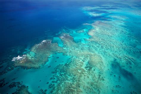 Great Barrier Reef - Nature's Sunken Garden | Tropical North QLD