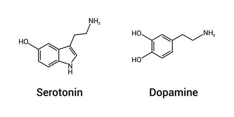 Serotonin vs. Dopamine: What Are the Differences?