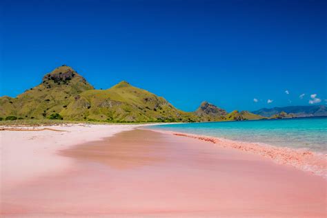 The incredible pink sand beaches you have to see to believe ...