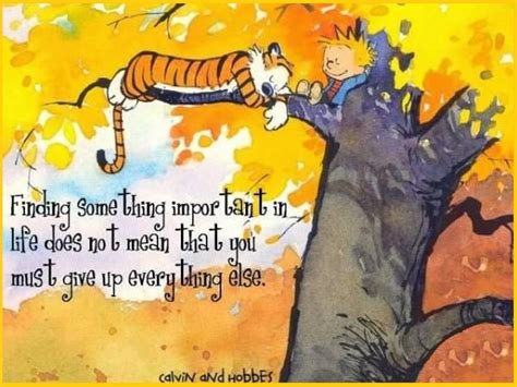 Best and Catchy Motivational Calvin and Hobbes Quotes