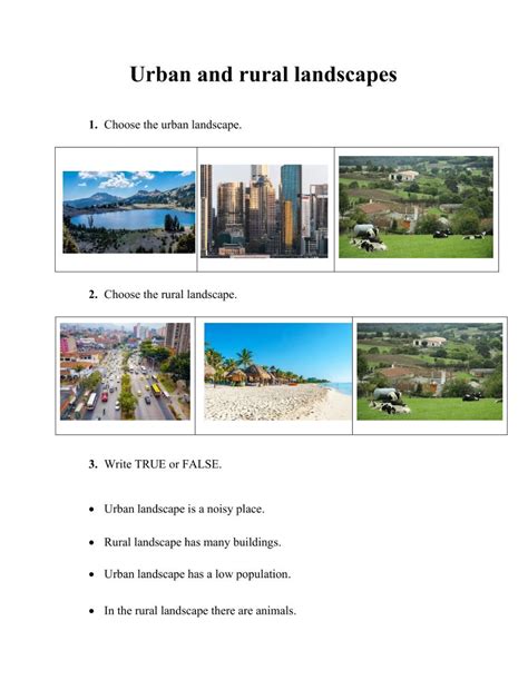 Urban and rural landscapes worksheet | Rural landscape, Urban landscape ...