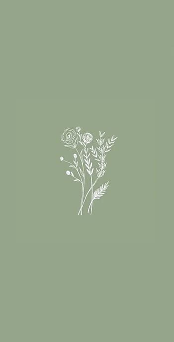 Olive green wall backgrounds, olive green aesthetic HD phone wallpaper ...