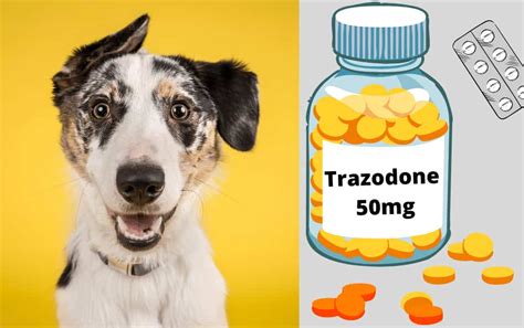 Safe Trazodone for Dogs dosage Chart- 50mg-300mg