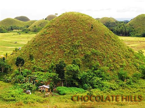 Anda via Chocolate Hills Tour ~ Bohol Island Tour - WoW Bohol Package ...