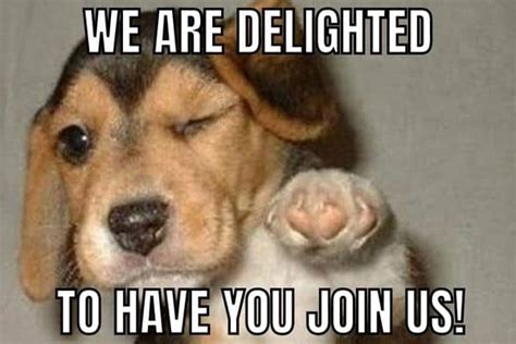 30 Best Welcome Memes For New Team Members - HumorNama