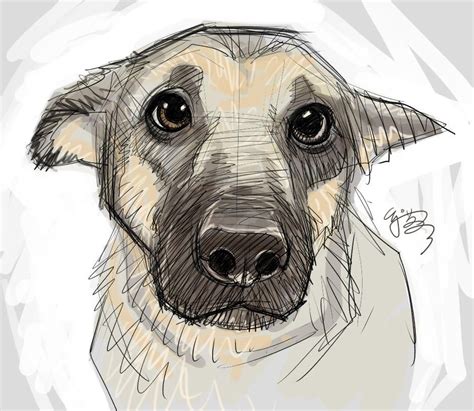 Puppy-eyes by EJ-Su | Animal drawings, Dog art, Dog drawing