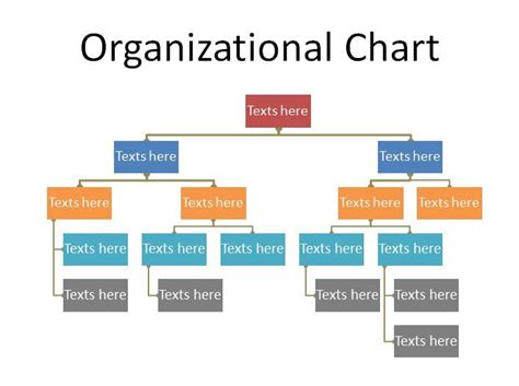 Organizational Chart Template 19