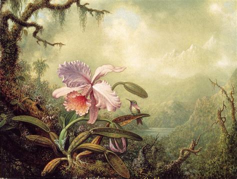 TROPICALIZER: Martin Johnson Heade // Orchids and Hummingbirds