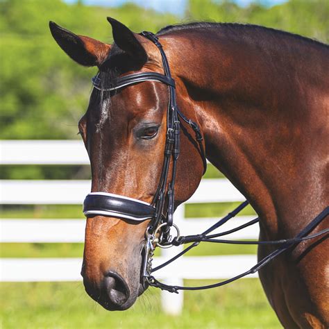 Pinnacle Dressage Double Bridle | Schneiders Saddlery