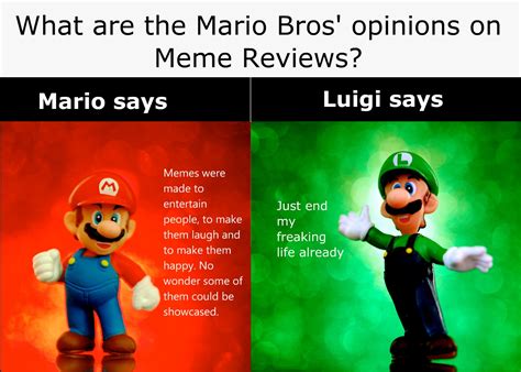 Mario And Luigi Memes Reddit | BlageusFree