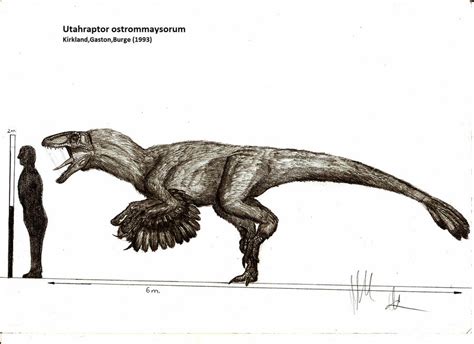 Utahraptor Size Comparison