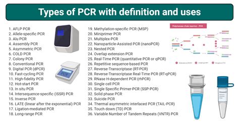 37 Types of PCR with Definition, Principle, and Uses