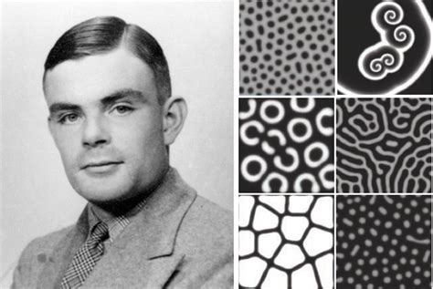 Turing Patterns - Another Contribution by a Great Scientist