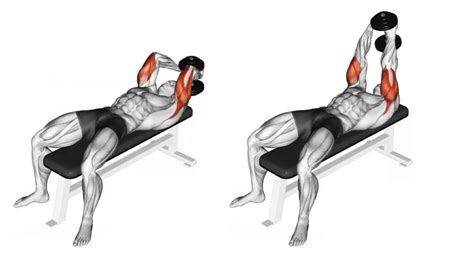 Ultimate Guide To Dumbbell Overhead Tricep Extensions