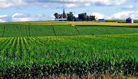 Corn Fields, Iowa Farm 7-13 | (1 in a multiple picture album… | Flickr