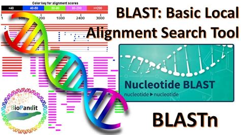 Basic Local Alignment Search Tool Blast - slideshare