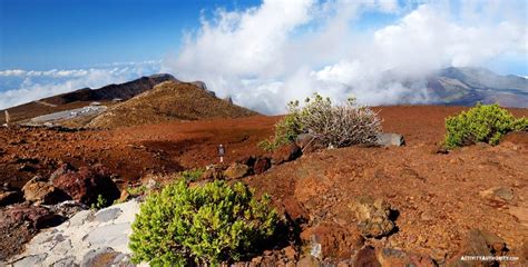 Haleakala Sunrise Tour - Best Haleakala Sunrise Adventures