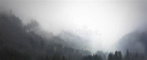 Alpine Forest with Fog and Warm Colors, Autumn in the Mountains, Ideal ...