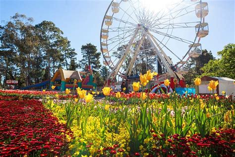 Floriade Festival 2024 | Tickets Dates & Venues – CarniFest.com