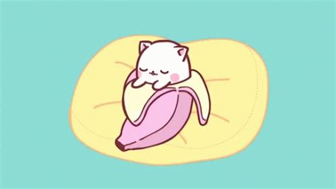 Banana Cat Gif - IceGif