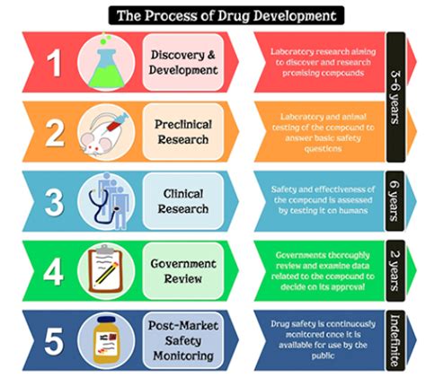 Drug Development Stages Diagram