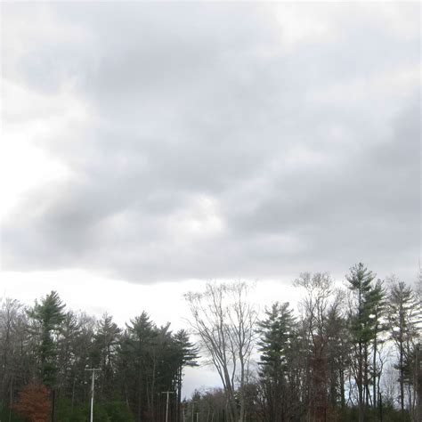 Cloudy Sky and Trees | Olivia Whalen Photography