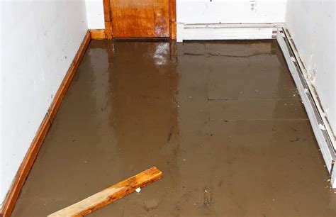 What to Do if Your Basement Floods- G J MacRae