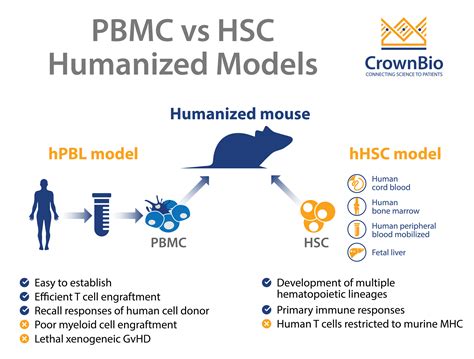 Creation Of Humanized Mice To Study Human Immunity - Study Poster