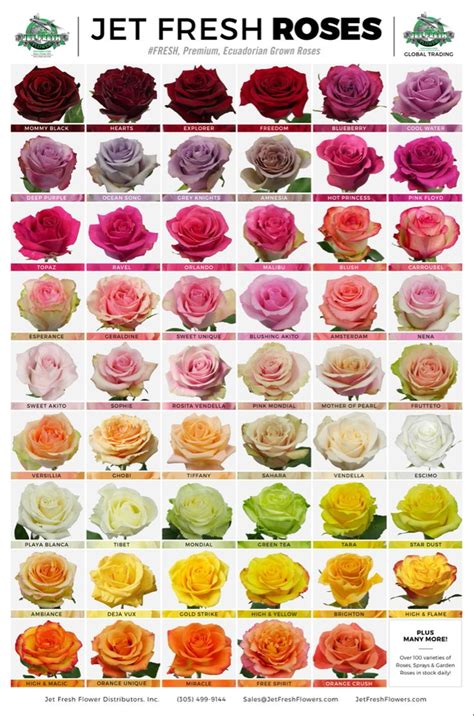 the different types of roses are shown in this poster, which shows how ...