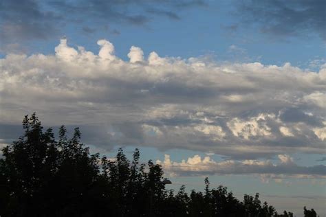 Altocumulus castellanus | Cloud atlas, Clouds, Species