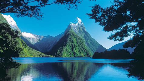 Milford Sound, New Zealand: Traces of The Sea in The Green Valley of ...