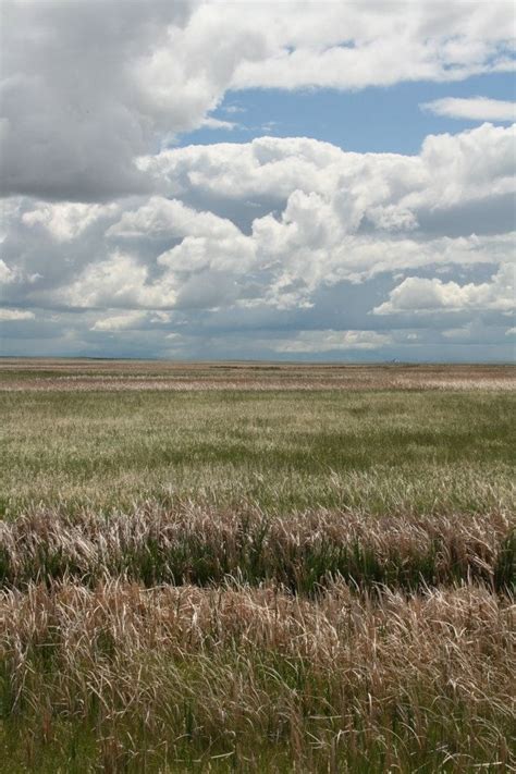 Big Sky Country Fields | Big sky country, Big sky, Country landscaping