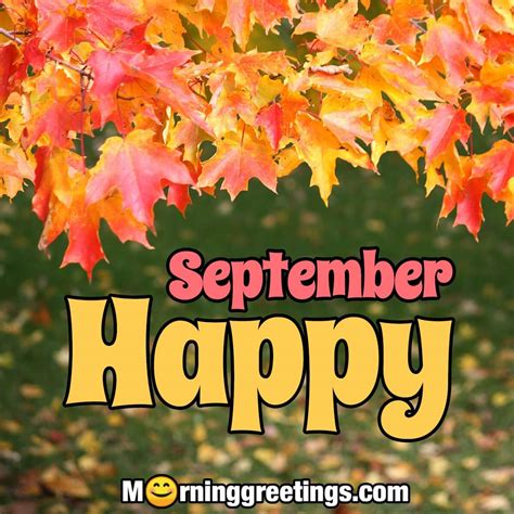 40 Best September Morning Quotes And Wishes - Morning Greetings ...