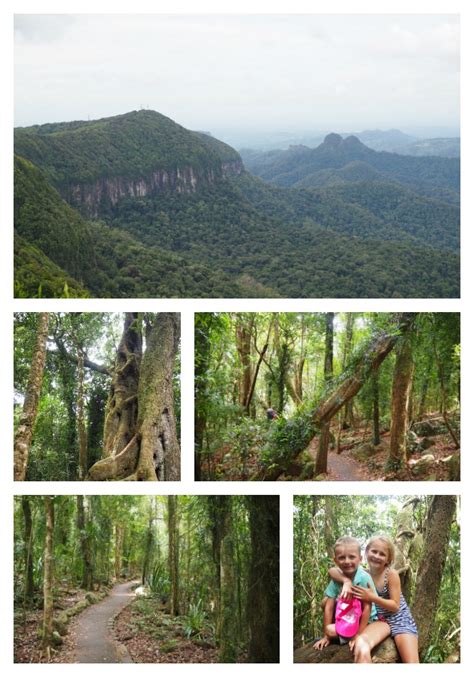 The Mouses House Rainforest Retreat and Exploring Springbrook National ...