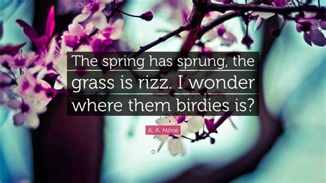 A. A. Milne Quote: “The spring has sprung, the grass is rizz. I wonder ...