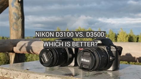 Nikon D3100 vs. D3500: Which is Better? - FotoProfy