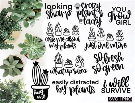 Succulent Svg Bundle Cactus Svg Plant Svg Plant Lover Svg - Etsy ...