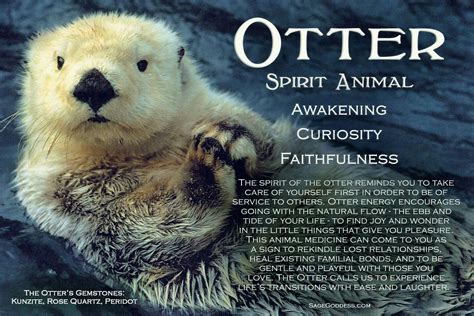 Pin by Lisa S on My spirit animal | Otter spirit animal, Spirit animal ...