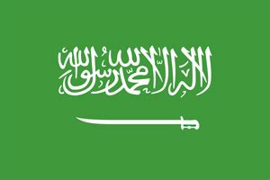 Saudi Arabian Flag (Flag of Saudi Arabia)