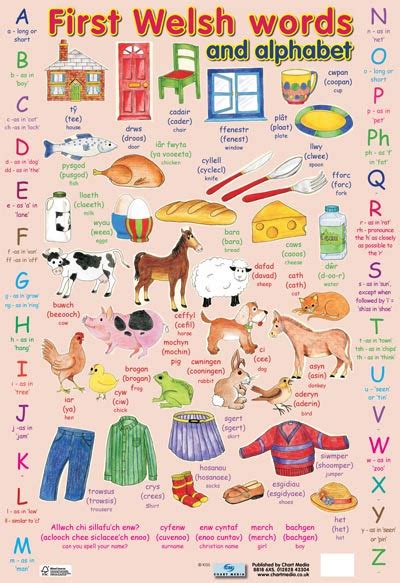 First Welsh Words / Alphabet Poster - Little Linguist