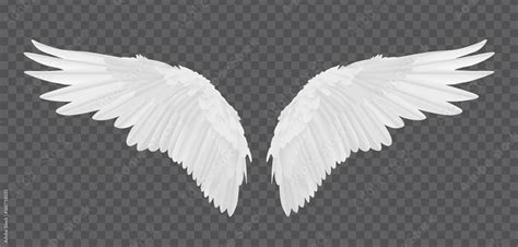 Vector realistic angel wings isolated on transparent background Stock ...