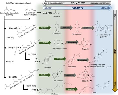 Figure 1 from Extraction and Analysis of Terpenes/Terpenoids ...